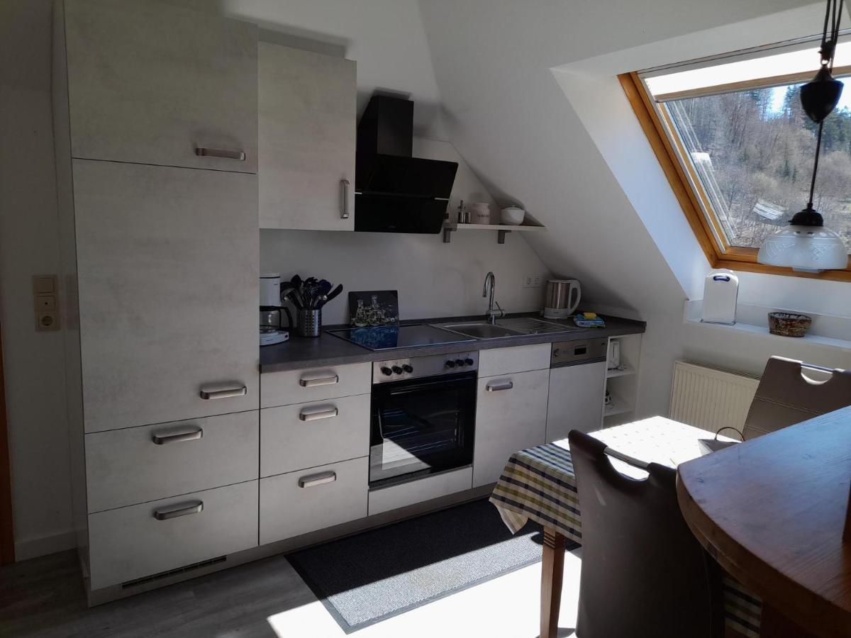 Apartamento Haus Elsholz Willingen Willingen  Exterior foto
