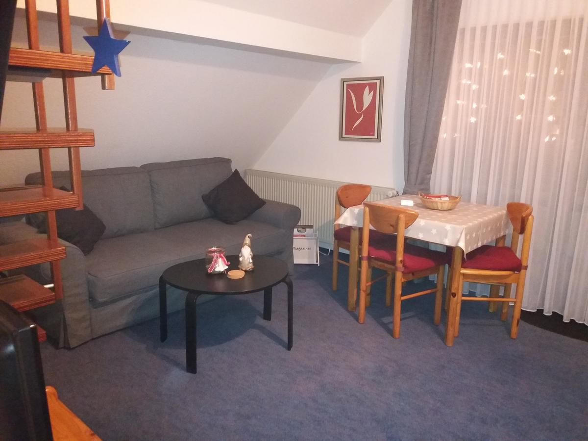 Apartamento Haus Elsholz Willingen Exterior foto
